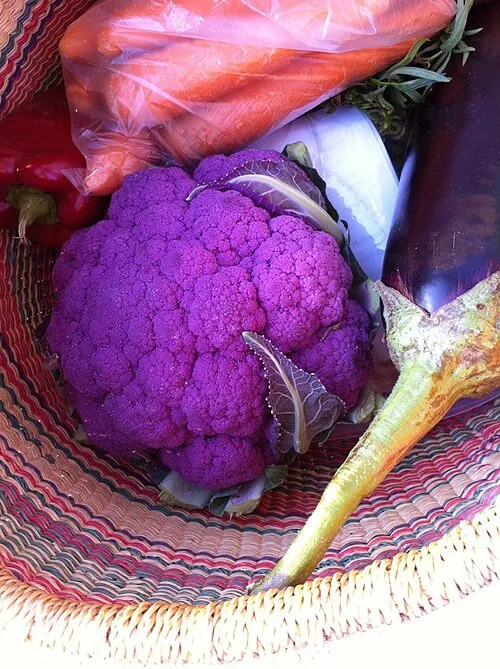 A basket contains purple cauliflower, carrots, peppers and eggplant.